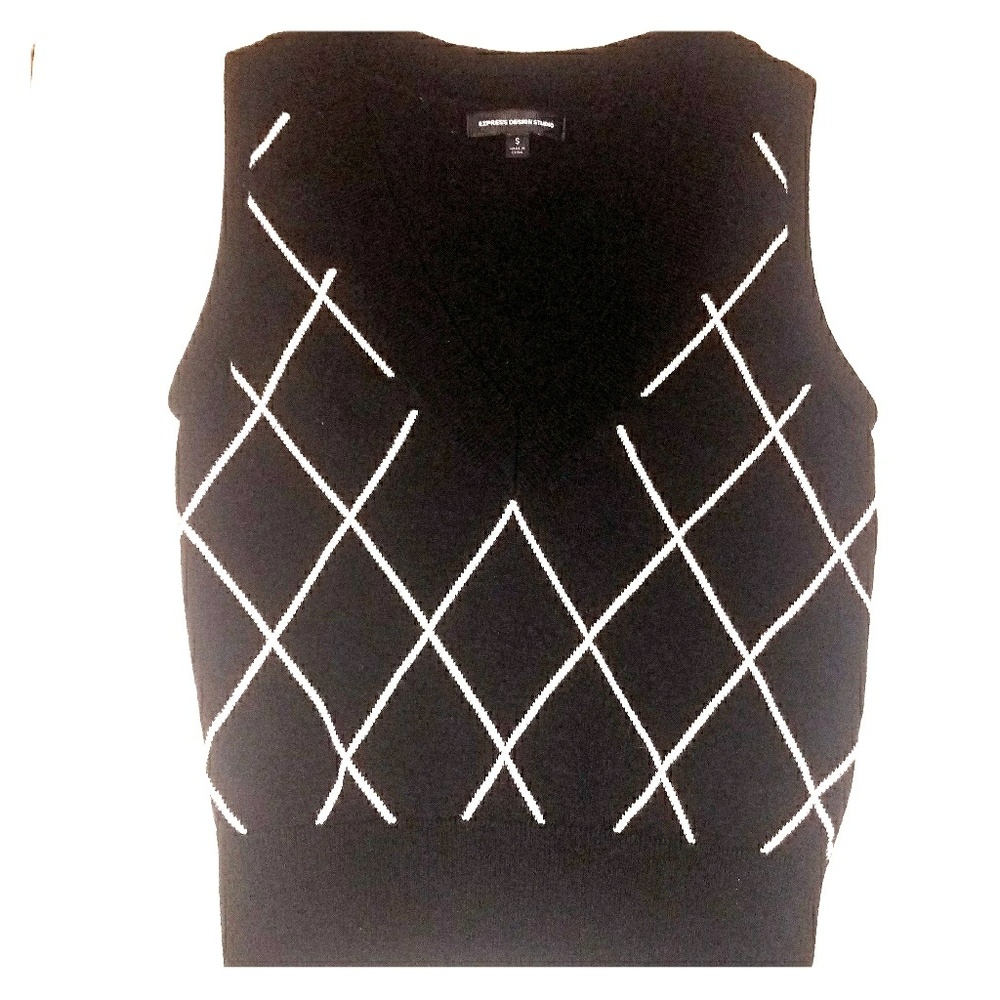 Express V-neck Sweater Vest